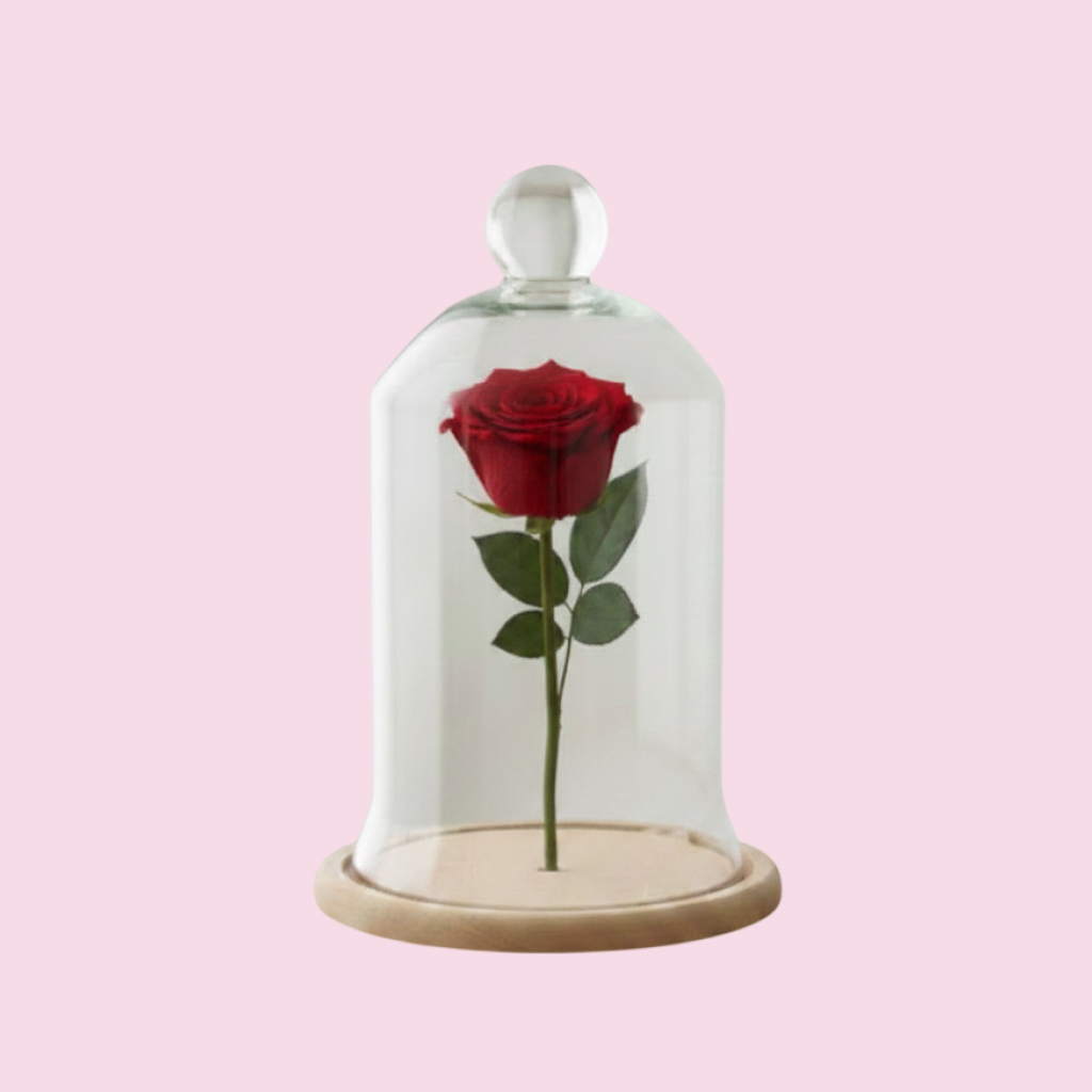 Rosas Preservadas