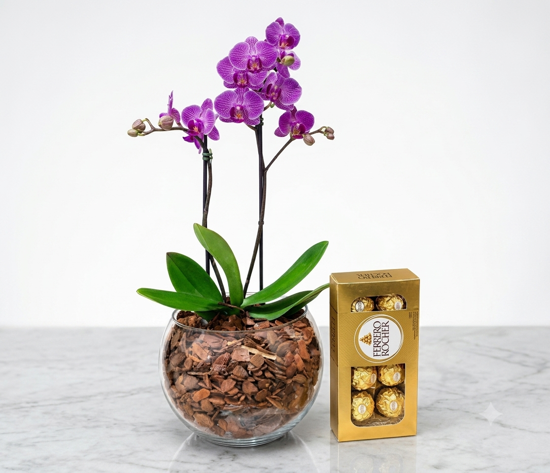 Orquídea Com Ferrero